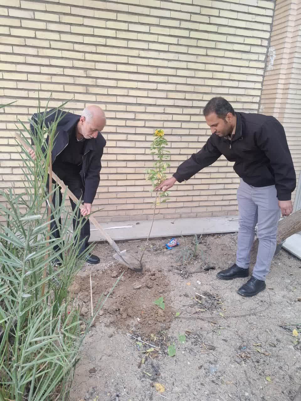 روز درختکاری