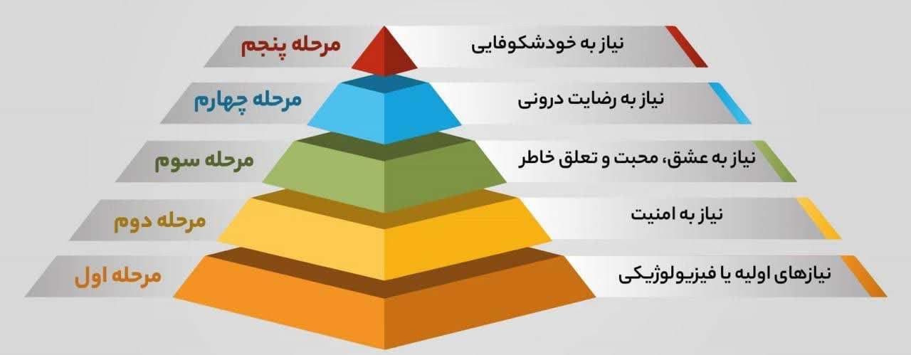 چرا ما باید دنبال کار کردن باشیم؟